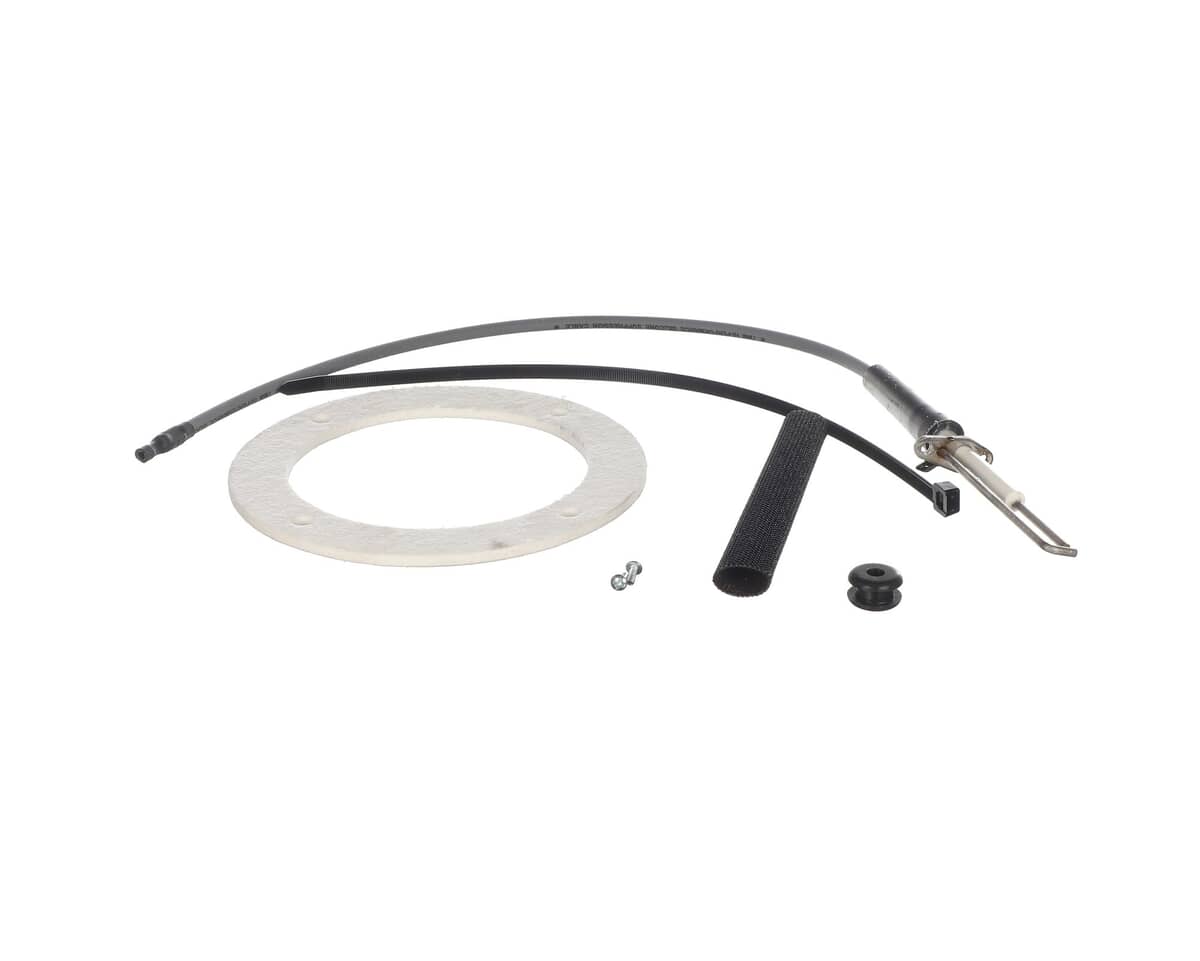 AO SMITH WATER HEATER PARTS AO Smith Water Heater 100301928 Spark Igniter Assy - SKU AOSM100301928