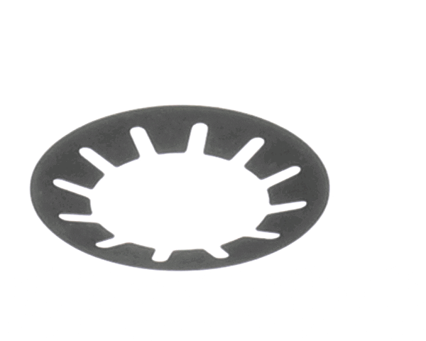 BIZERBA PARTS Bizerba 000000050001690000 Cup Spring/Washer - SKU BIZ000000050001690000