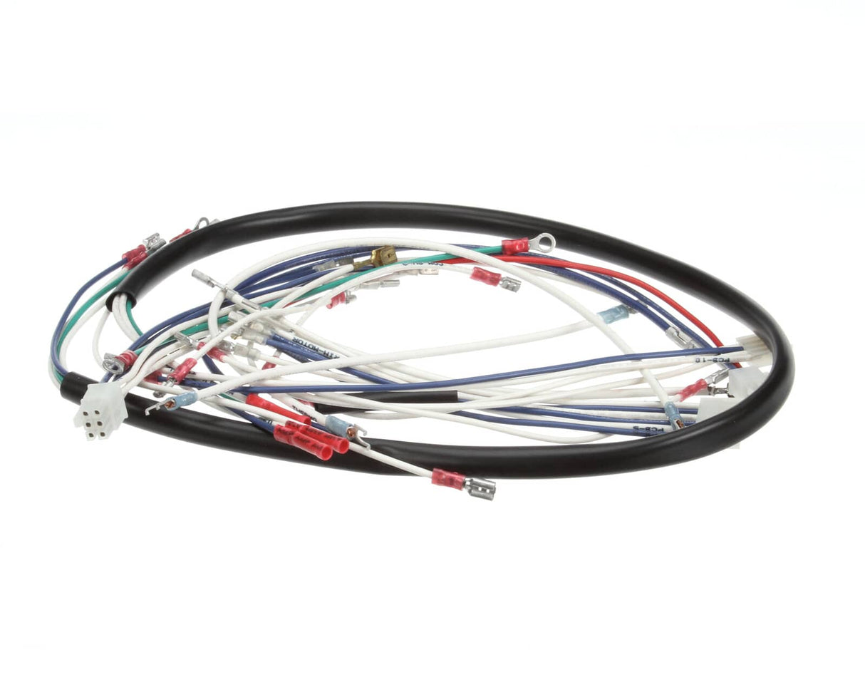 CHAMPION - MOYER DIEBEL PARTS Champion - Moyer Diebel 0507578 Harness Cntl Box/Det Tank Assembly - SKU CHA0507578