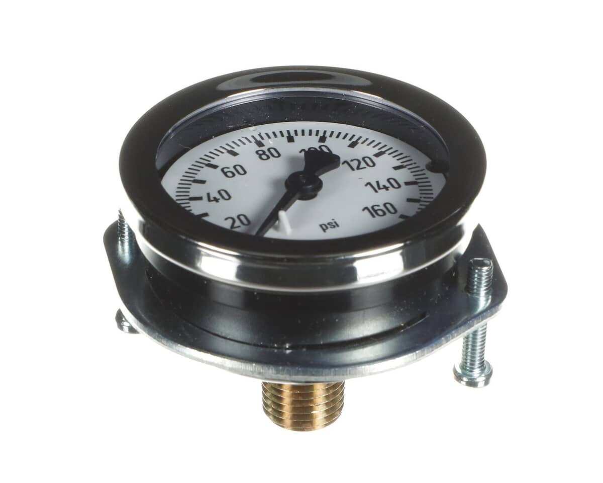 EVERPURE PARTS Everpure 530-20018 Pg - 2IN - 160PSI - 1/4MPT Cbm Pnl - SKU EVE530-20018