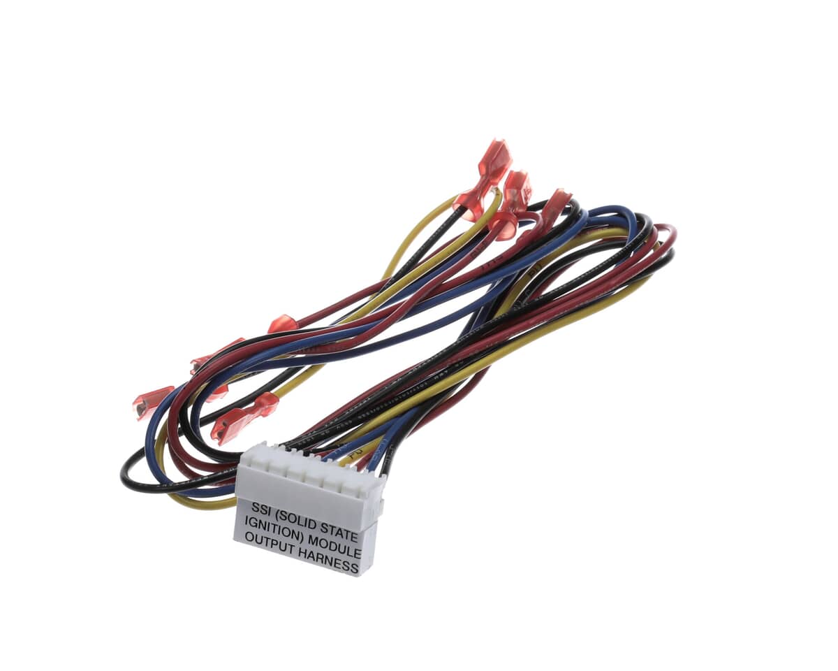 HENNY PENNY PARTS Henny Penny 75904 HARN-C1000-2000 Ssi Output - SKU HEN75904