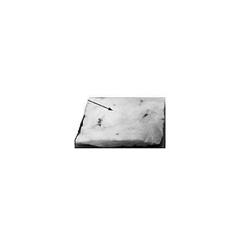 WELLS PARTS Wells 2H-40660 - SKU WEL2H-40660