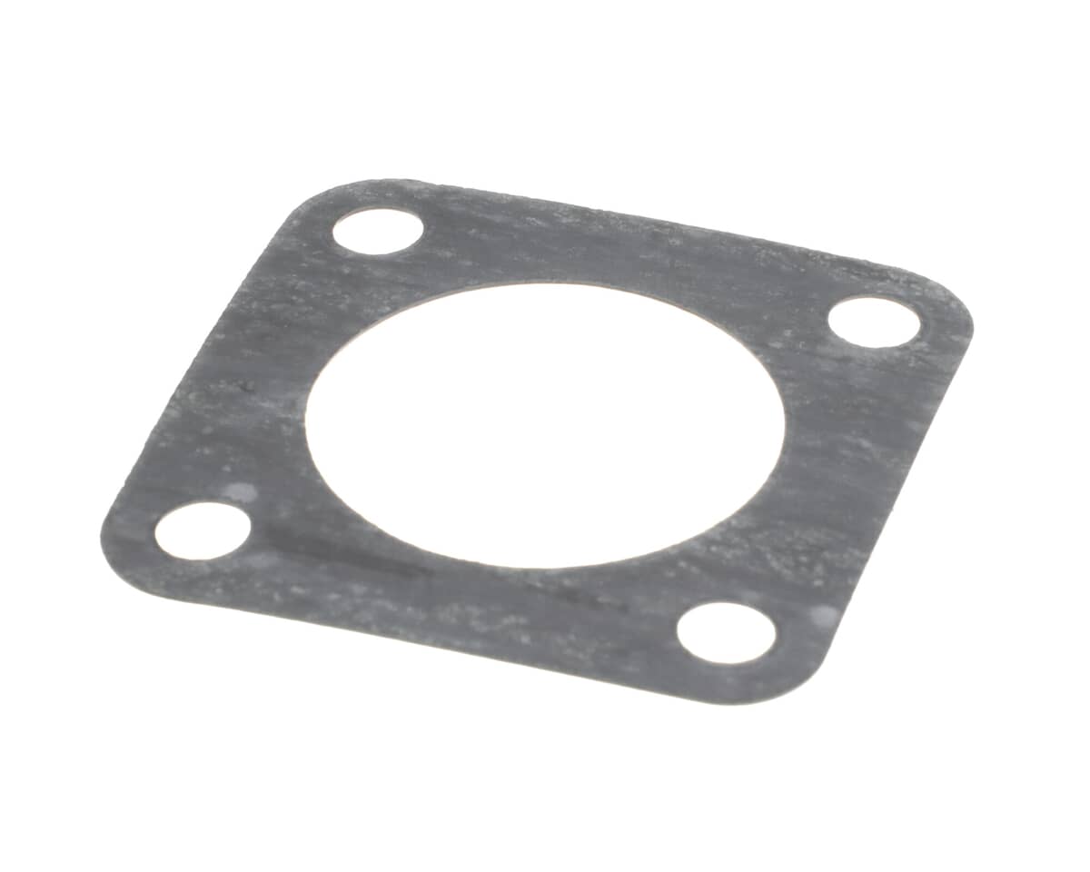 WELLS PARTS Wells 2I-302448 Gasket Pump Mounting - SKU WEL2I-302448