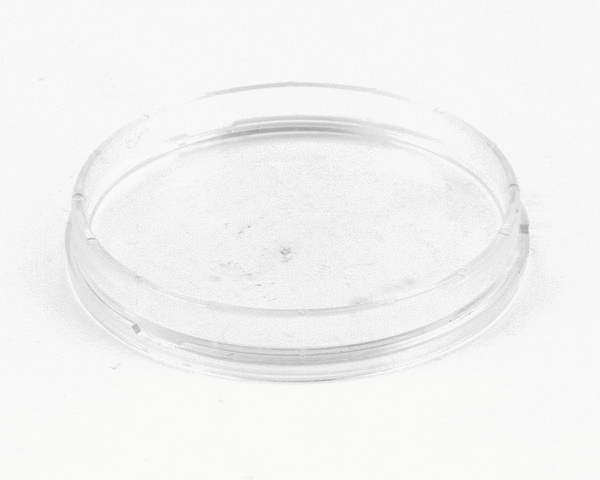ACCUTEMP PARTS Accutemp AT0H-3544-1 2 Lense Cover - Snh Steamer S/N: 14123 & - SKU ACCAT0H-3544-1