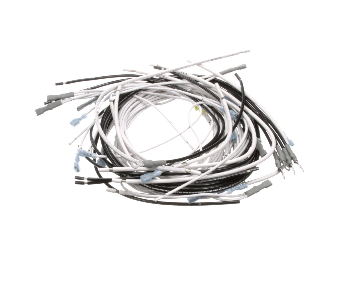 BKI PARTS BKI WH0144 Wire Harn Ctrl Panel Vgg - SKU BKIWH0144