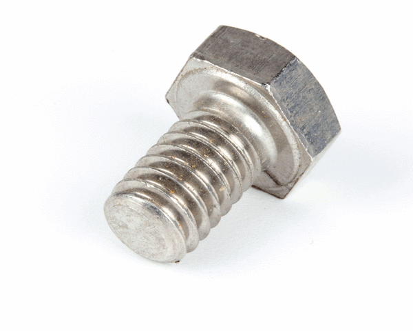 GLOBE PARTS Globe 981-9 Screw Hex Cap SS - SKU GLO981-9