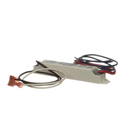 LANCER PARTS Lancer 52-3123/01 Ballast Assembly 230V 1 Bulb Rohs - SKU LAN52-3123/01