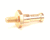 ACCUREX PARTS 417279 - SKU ACCX417279