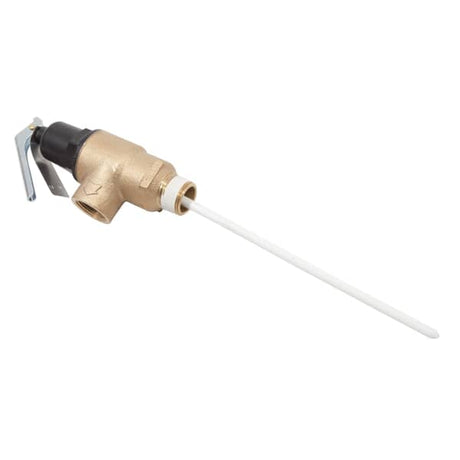 AO SMITH WATER HEATER PARTS AO Smith Water Heater 100110738 T&amp;p Valve - SKU AOSM100110738