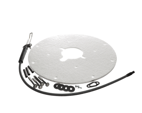 AO SMITH WATER HEATER PARTS AO Smith Water Heater 100271889 K Spark Igniter Assy(angled) - SKU AOSM100271889