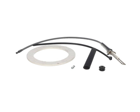 AO SMITH WATER HEATER PARTS AO Smith Water Heater 100301928 Spark Igniter Assy - SKU AOSM100301928
