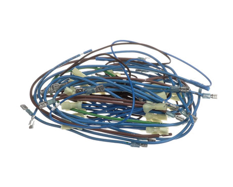 APW WYOTT PARTS APW Wyott 2E-21831976 Wire Harness; HRS-75;5T - SKU APW2E-21831976