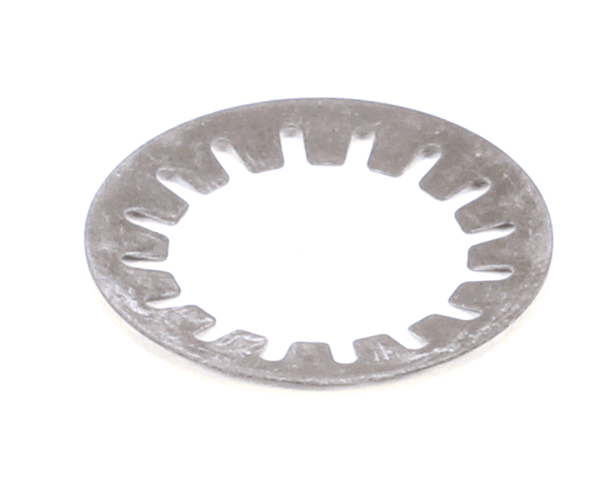BIZERBA PARTS Bizerba 000000000110000095 Cup Spring - SKU BIZ000000000110000095
