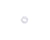 BIZERBA PARTS Bizerba 000000038011961000 Ring - SKU BIZ000000038011961000