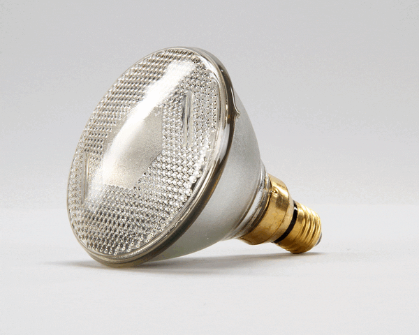 BKI PARTS BKI FL0003 Lamp Flood 120W PAR38 240/250 - SKU BKIFL0003