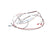 BUNN PARTS Bunn 12576.0008 Wiring Harness H5 Dgtl Dspl 208V/240V - SKU BU12576.0008