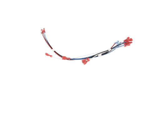 BUNN PARTS Bunn 27791.0002 Wiring Harn Xfmr-R 120/240(SH - SKU BU27791.0002