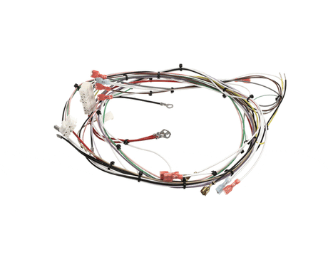 BUNN PARTS Bunn 32647.0013 Wiring Harness Main Single Sh Dbc - SKU BU32647.0013