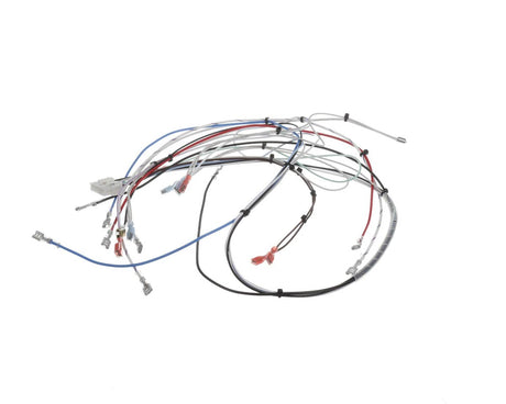 BUNN PARTS Bunn 38040.0016 Wiring Harness Main Itcb-Dv - SKU BU38040.0016