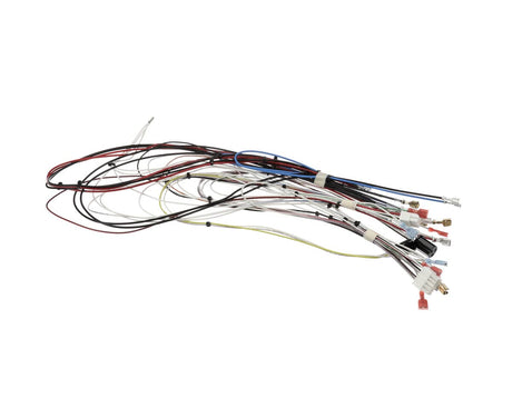 BUNN PARTS Bunn 40666.0008 Wiring Harness Cdbc Twin 4/2 Mod - SKU BU40666.0008
