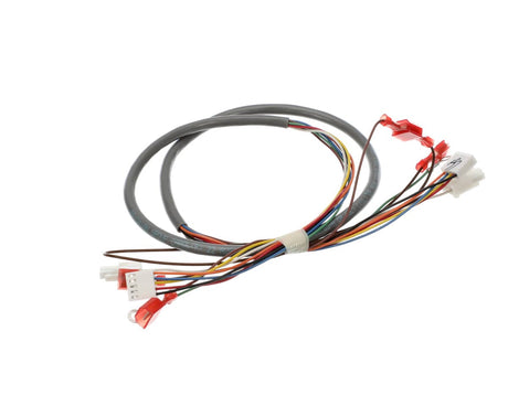 BUNN PARTS Bunn 41202.0008 Wiring Harness Door-Cbdspct - SKU BU41202.0008
