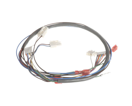 BUNN PARTS Bunn 41202.0012 Wiring Harn Door Pc-Juice (Disp Sw) - SKU BU41202.0012