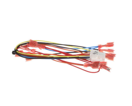 BUNN PARTS Bunn 43841.0002 Wire Harness Motor Cover Assy Cfv - SKU BU43841.0002