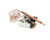 BEVLES PARTS 69121 - SKU BVL69121