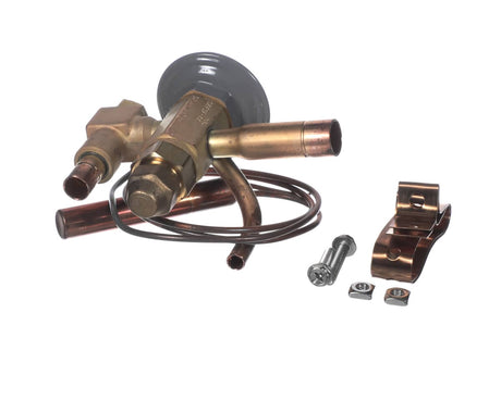COLDZONE PARTS Coldzone 08356816 Expansion Valve - SKU CDZ08356816