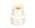CHAMPION - MOYER DIEBEL PARTS Champion - Moyer Diebel 114011 Fitt Cpvc 3/4F NPT X 3/4F Cpvc - SKU CHA114011