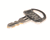 DELFIELD PARTS Delfield 3237522 Spare Key Xing Xing - SKU DEL3237522