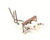 DOUGHPRO PROLUXE PARTS 110116908 - SKU DPR110116908