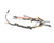 DOUGHPRO PROLUXE PARTS 110573050 - SKU DPR110573050