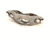EDLUND PARTS R069 - SKU EDLR069