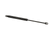 ELECTROLUX PROFESSIONAL PARTS Electrolux Professional 0L2165 Gas Spring L265 5MM - SKU ELX0L2165