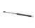 ELECTROLUX PROFESSIONAL PARTS Electrolux Professional 0PRM19 Gas Spring 100N Stroke 100MM - SKU ELX0PRM19