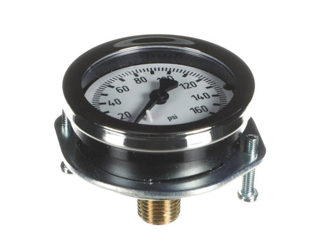 EVERPURE PARTS Everpure 530-20018 Pg - 2IN - 160PSI - 1/4MPT Cbm Pnl - SKU EVE530-20018