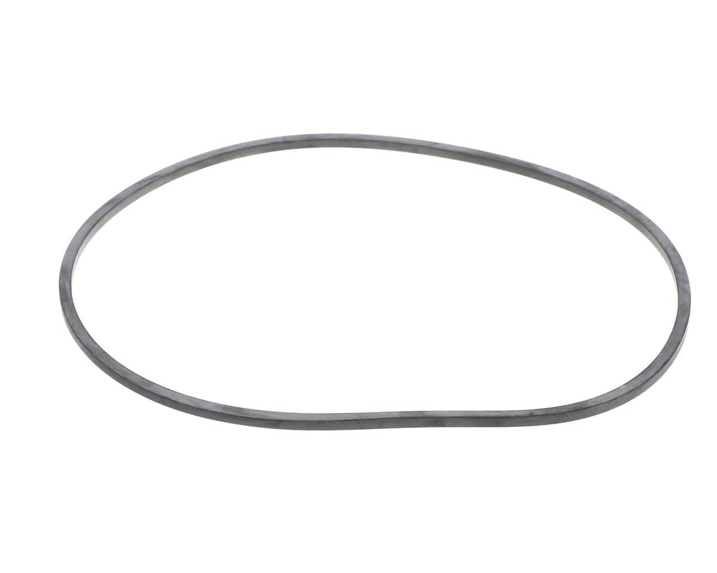 EVERPURE PARTS Everpure EV094400 Gasket Sq. Cut T-9/20 - SKU EVEEV094400