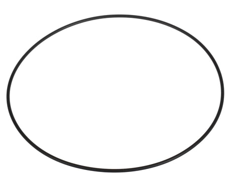 FOLLETT PARTS Follett 01165539 O-Ring - SKU FOL01165539