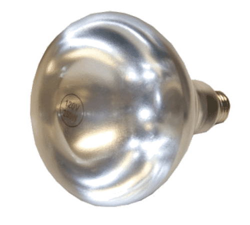GLOBE PARTS CHL-BULB - SKU GLOCHL-BULB