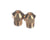 GLOBE PARTS Globe K00791 - SKU GLOK00791