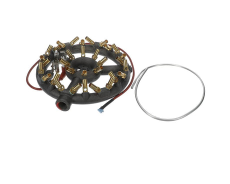 GROEN PARTS Groen 140062 Burner &amp; Sensor Asm AHS-40 P02 - SKU GR140062