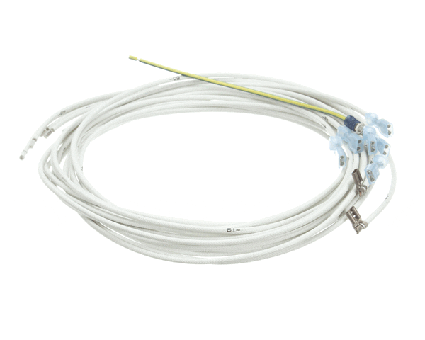 HENNY PENNY 60481 HARNESS-POWER/PUMP SWITCH G321