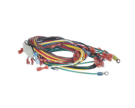 HENNY PENNY PARTS Henny Penny 79603 HARN-C1000 15 Pin Fryer OFG34X - SKU HEN79603