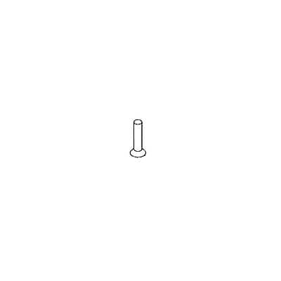 CORNELIUS PARTS Cornelius 1004589 Screw Sm 10 Tb Trph 16 SS - SKU ICO1004589