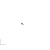 CORNELIUS PARTS Cornelius 1004683 Washer Lk 194 323 050 Stzi #10 - SKU ICO1004683