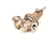 JACKSON PARTS 66850115822 - SKU JAC66850115822