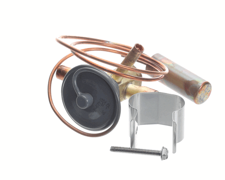 LENNOX PARTS Lennox 38M74 R410A Expansion Valve - SKU LEN38M74