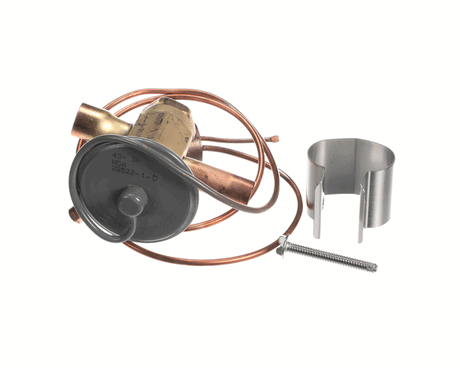 LENNOX PARTS Lennox 79J75 Expansion Valve - SKU LEN79J75