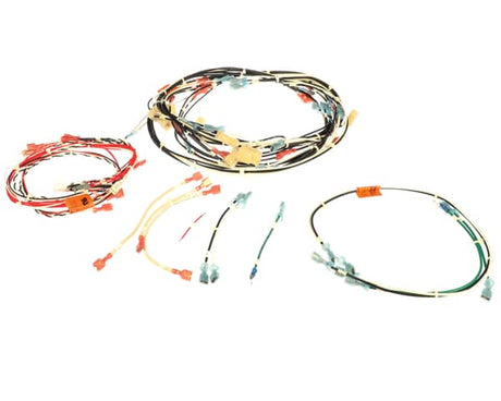 MERRYCHEF PARTS Merrychef 31Z0658 E2 Usa Wiring Loom Lincoln 10005278 Iss - SKU MCHF31Z0658
